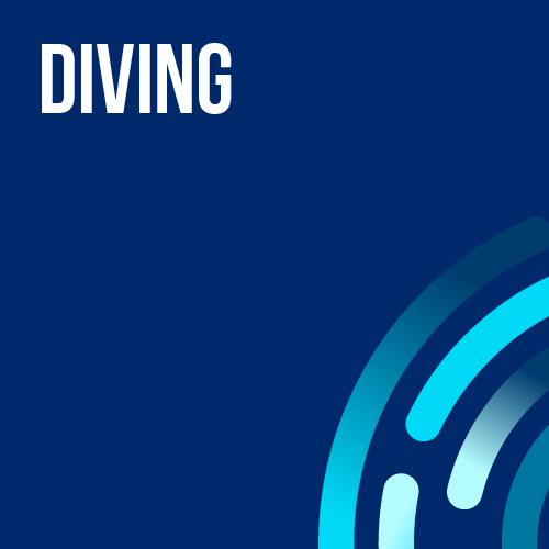 11th AAGC - DIVING